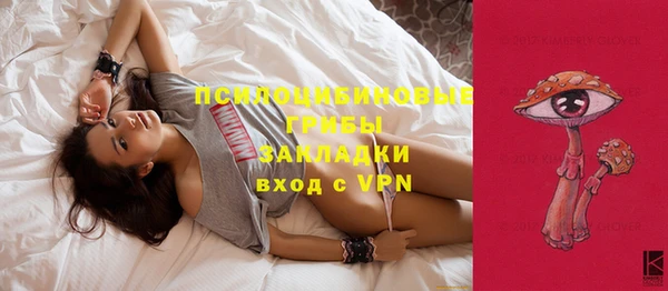 гашик Абинск