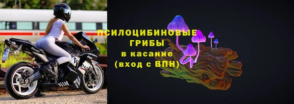 прущие грибы Абдулино