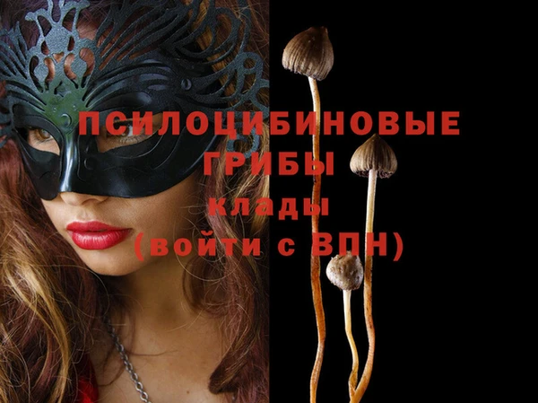 прущая мука Абаза