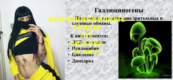 гашик Абинск