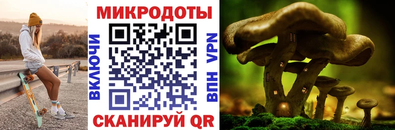 как найти закладки  Мамадыш  Псилоцибиновые грибы мухоморы 